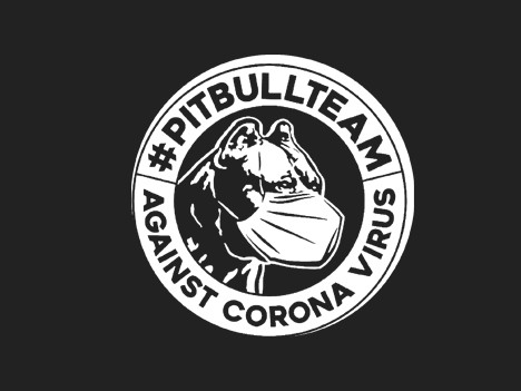 Pitbull Team